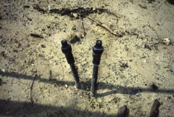 Self-flushing end caps on the lateral ends of an orchard subsurface drip system  Photo L. Schwankl.