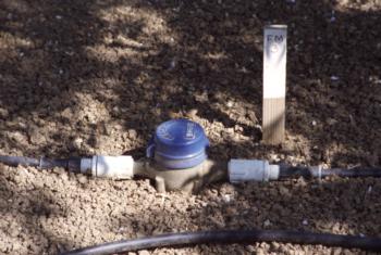 Small flow meter installed in a drip irrigation lateral line.  Photo: L. Schwankl.